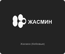 Жасмин